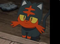 Litten -anime-