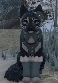 cursed kit to warrio