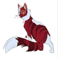 Shoto Todoroki Cat