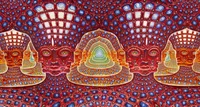 DMT Entities