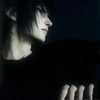 Noctis Lucis Caelum