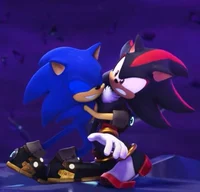 Sonic and shadow