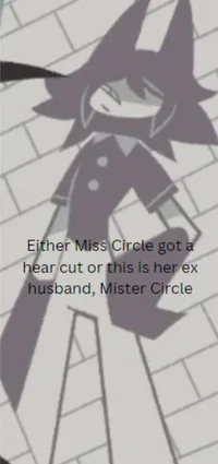 Mister Circle