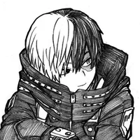 Shoto Todoroki 