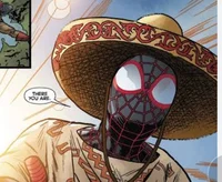 spider-Chiapas 