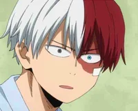 Shoto Todoroki 