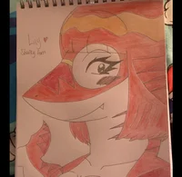 Lily The Tiger Shark