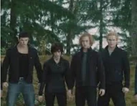 The Cullens 
