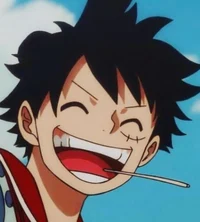Timeskip Luffy