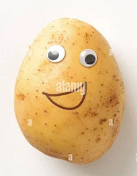 Potato