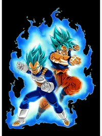 Ssjb Goku and Vegeta
