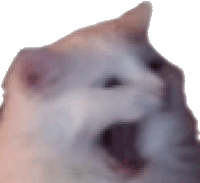 stqrr1