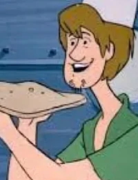 shaggy