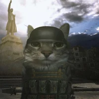 Cat soldier