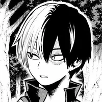 Todoroki 