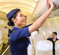 Flight Attendant