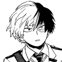 Shoto Todoroki