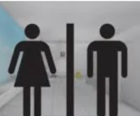 Roblox Public Toilet