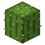 Minecraft cactus