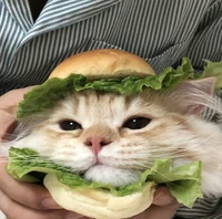 Cat Burger
