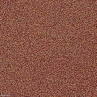 Poor thing -Splatoon