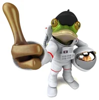 Goof Spacefrog 