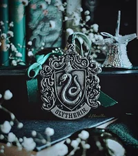 Slytherin chicos 