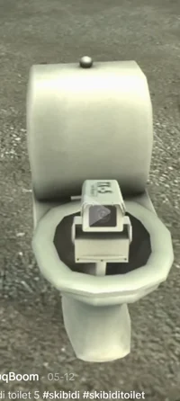 Toilet camera
