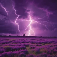 the purple thunder