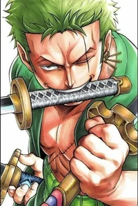 Zoro BR