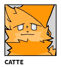 Catte