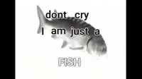 I am just a fish