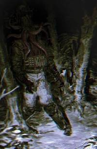 Konig