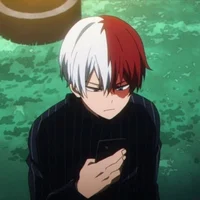 Shoto Todoroki - MHA
