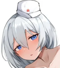 T-34-85 D5T roommate