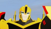Bumblebee Criminal
