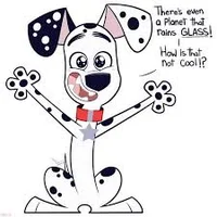 Dylan dalmatian 