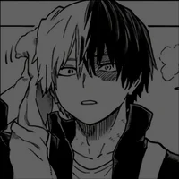 Shouto Todoroki 