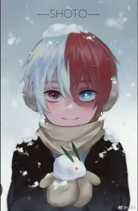 Todoroki Shoto 