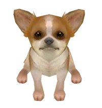Another Nintendog