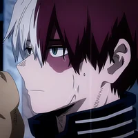 Shoto Todoroki