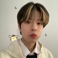 Kim seungmin