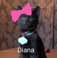 Diana