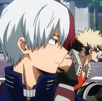 Shoto Todoroki 