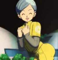 Bulma Briefs