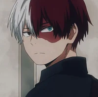 Shoto Todoroki