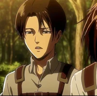Levi Ackerman 