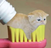 Кевин-мать-твою-Дей