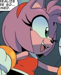 Amy Rose -IDW-
