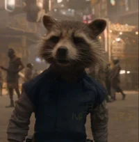 rocket racoon